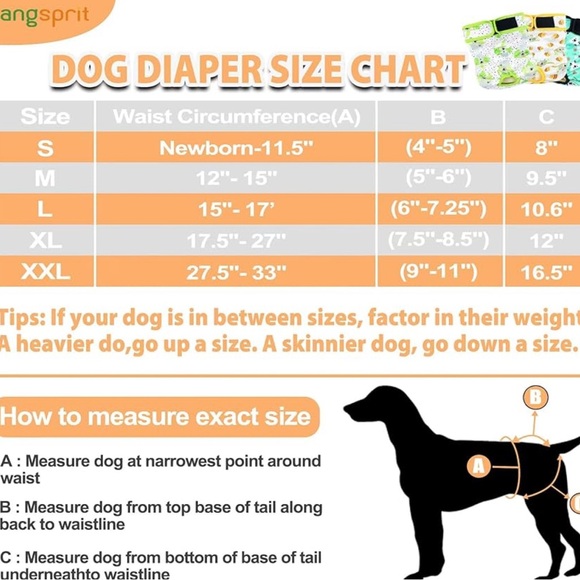Doggie Female Diapers - Picture 4 of 4